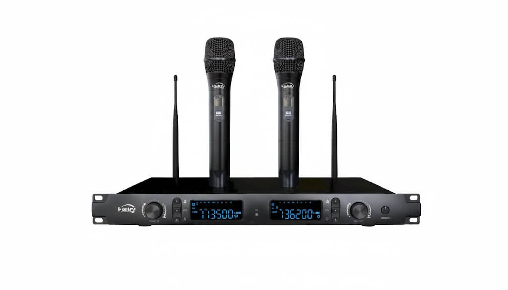 alquilerdevideobea-sonido-microfonos-x2